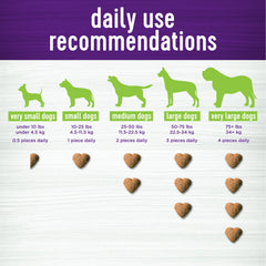 Wellness Pumpkin Patch Flavored Soft Chew Digestive Health Supplements for Dogs