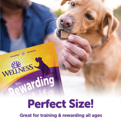 Wellness Rewarding Life Dog Treats, Natural, Training Treat, Grain Free, Soft Lamb & Salmon