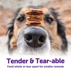 Wellness Rewarding Life Dog Treats, Natural, Training Treat, Grain Free, Soft Turkey & Duck