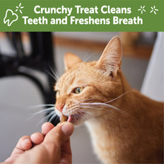 Whimzees Wellness Cat Dental Treats, Natural Chews, Chicken and Salmon Flavor