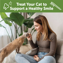 Whimzees Wellness Cat Dental Treats, Natural Chews, Chicken and Salmon Flavor