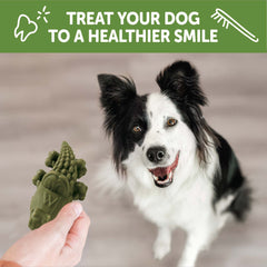 Whimzees Wellness Alligator Dog Dental Treats, Natural Chews, Medium Size