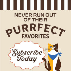 Merrick Purrfect Bistro Grain Free Chicken and Sweet Potato Cat