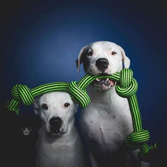 Knot-N-Chew Rope Dog Toy (4 Knot)