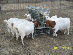 Little Giant® Feeder Goat & Sheep Bunk w/ Rack – Durable Forage and Grain Feeder