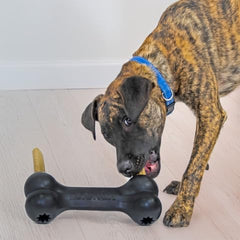 KONG Extreme Goodie Bone Dog Toy – Extra Large