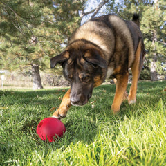 KONG Ball with Hole – Classic Natural Rubber Fetch Toy (Large)