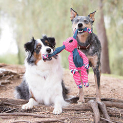 KONG Floppy Knots – Bunny Knotted Rope Dog Toy (Medium/Large Dogs)