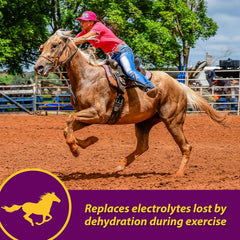 Apple-Dex Electrolytes – 30 lbs