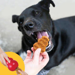 KONG Jerky Dog Treat Chicken – Medium/Large