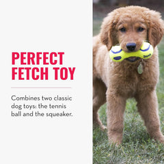 KONG AirDog® Squeaker Dumbbell Dog Toy – Medium