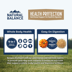 Natural Balance Health Protection Dry Dog Food – Whole Body Health, Easy on Digestion Dog Food Made with Salmon, Brown Rice & Pumpkin for Dogs - 4lbs.