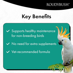 Roudybush Daily Maintenance Bird Food Mini Pellets – 10 lb