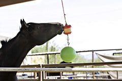 Horsemen's Pride® Jolly Stall Snack Combo Horse Toy