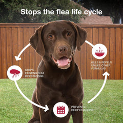 K9 Advantix® II – Monthly Flea, Tick & Mosquito Protection for Dogs