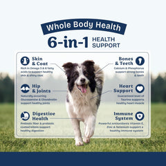 Natural Balance Health Protection Dry Dog Food – Whole Body Health, Easy on Digestion Dog Food Made with Salmon, Brown Rice & Pumpkin for Dogs - 4lbs.