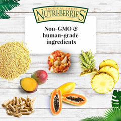 LAFEBER'S Tropical Fruit Nutri-Berries Pet Bird Food, Made with Non-GMO and Human-Grade Ingredients, for Cockatiels Conures Parakeets (Budgies) Lovebirds (Tropical Fruit 10 oz)