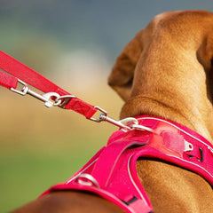 Curli Adjustable Leash Nylon Black