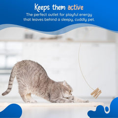 CAT DANCER TOY by KYLIES MfrPartNo 101