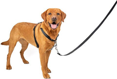 PetSafe 3 in 1 Dog Harness - No Pull Solution for Dogs - Reflective Dog Harness - Front D-Ring Clip Helps Stop Pulling - Comfortable Padded Straps - Top Handle Enhances Control