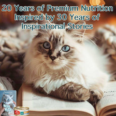 Chicken Soup for the Soul All Natural Premium Wet Kitten Food, Real Meat First Ingredient, No By-Products, Artificial Colors, Flavors or Preservatives, Chicken & Turkey Pate, 5.5oz (Pack of 24)