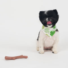 SPOT Bam-Bones Plus Branch -Bamboo Fiber & Nylon, Durable Long Lasting Dog Chew for Aggressive Chewers – Great Toy for Adult Dogs & Teething Puppies Under 60lbs, Non-Splintering, Beef Flavor