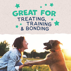 Natural Balance Limited Ingredient Rewards Jumpin' Stix, Grain-Free Dog Treats for Adult Dogs of All Breeds, Chicken Recipe, 4 Ounce (Pack of 1)