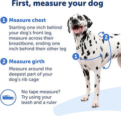 PetSafe Easy Walk Deluxe Dog Harness, No Pull Dog Harness – Perfect for Leash & Harness Training – Stops Pets from Pulling and Choking on Walks – Medium
