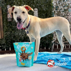 Fromm Crunchy Os Smokin' CheesePlosions Dog Treats - Premium Crunchy Dog Treats - Pork Recipe.