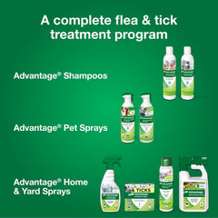 Elanco Advantage Dog Flea & Tick Shampoo for Puppies & Adult Dogs | Kills Fleas & Ticks | 24 oz.