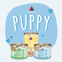 Weruva Puppy, Chicken Formula in Gravy (Pack of 10)