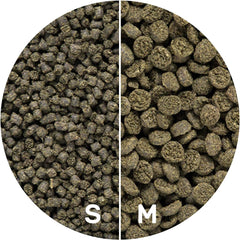 Hikari Seaweed Extreme Wafer Fish Food