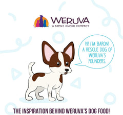Weruva Meals 'n More Natural Wet Dog Food, Funky Chunky Plus Skin & Coat Health (Pack of 12)