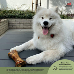 Redbarn Meaty Bones, All-Natural Single-Ingredient Chews, Great for Aggressive/Power Chewers 1 each