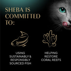 Sheba Perfect Portions Wet Cat Food Pate Roasted Turkey Entree, 2.6 oz. Twin-Pack Trays (24 Count, 48 Servings)