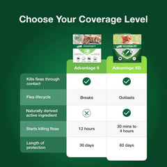 Elanco Advantage Cat Vet-Recommended Flea Treatment & Prevention | 6-Month Supply