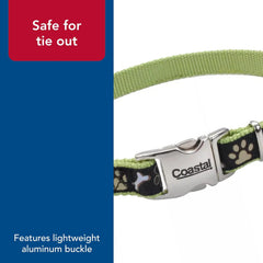 Coastal Pet - Ribbon - Adjustable Dog Collar with Metal Buckle, Yellow Buttercup, 5/8" x 12"-18"