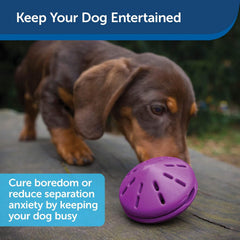 PetSafe Busy Buddy Twist 'n Treat Dispensing Dog Toy