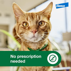 Advantage XD Cat Flea Prevention & Treatment For Cats | 4-Topical Doses, 8-Months of Protection Per Dose