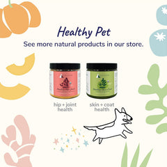 kin+kind Organic Pumpkin Powder for Dogs & Cats for Healthy Poop - Made in USA - Natural Pumpkin Powder Formula w/Flax Seed, Ginger, Turmeric & Coconut - Nutritional Supplement