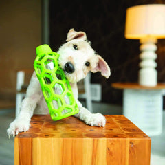 JW Pet Hol-ee Bottle Dog Chew Puzzle Toy