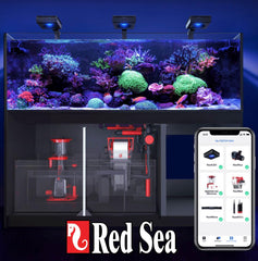 Red Sea Reef SPEC Aquarium Carbon | Highly Activated Charcoal for Aquariums and Fish Tanks Freshwater Saltwater Marine