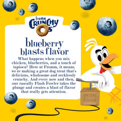 Fromm Crunchy Os Blueberry Blasts Dog Treats - Premium Crunchy Dog Treats - Chicken Recipe