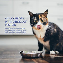 INABA Churu Broth for Cats, Creamy Chicken with Salmon Recipe