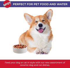 SPOT Standard Crock Dish for Small Animals - Food/Water Bowl for Small Pets, Round Ceramic Bowl with High Walls, Ideal for Birds, Small Cats, Dishwasher Safe