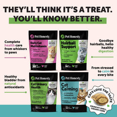 Pet Honesty Cat Multivitamin Chews - Cat Treats for Health + Immune, Cat Joint Support, Skin & Coat, and Digestion | Omega 3s, Lysine for Cats, Cat Probiotic, Cat Vitamins - Chicken (90-Day Supply)