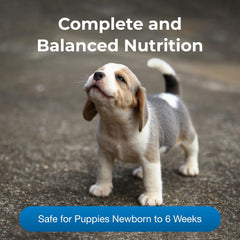 PetLac Liquid for Puppies - 32 oz - Ready-to-Feed Milk Replacement for Puppies Newborn to Six Weeks Old - Easy to Digest