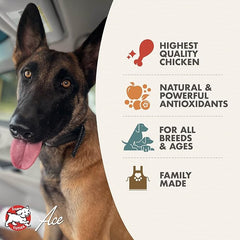 Fromm Diner Classics Paula's Chicken & Pumpkin Pate Dog Food - Premium Wet Dog Food - Chicken Recipe - Case of 12 Cans