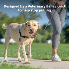 PetSafe Easy Walk No-Pull Dog Harness - The Ultimate Harness to Help Stop Pulling - Take Control & Teach Better Leash Manners - Helps Prevent Pets Pulling on Walks, Petite/Small