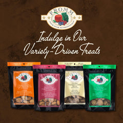 Fromm Four-Star Parmesan Cheese Grain-Free Dog Treats-8 oz